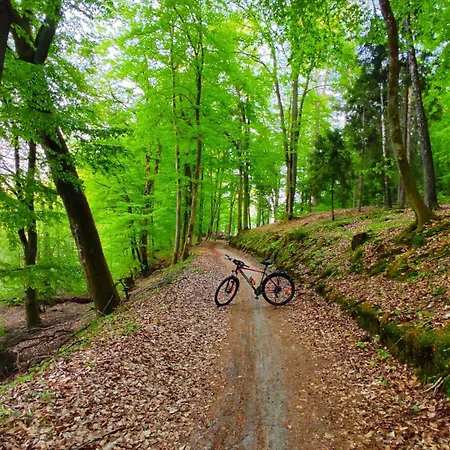 River - Mazuria Ostróda