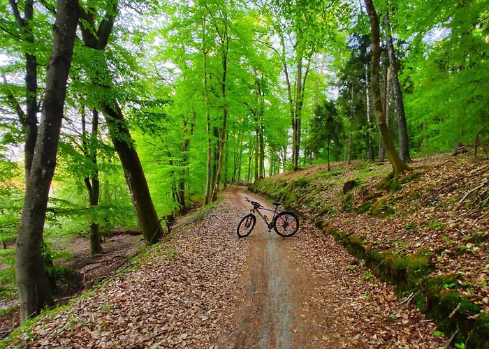 River - Mazuria Ostróda